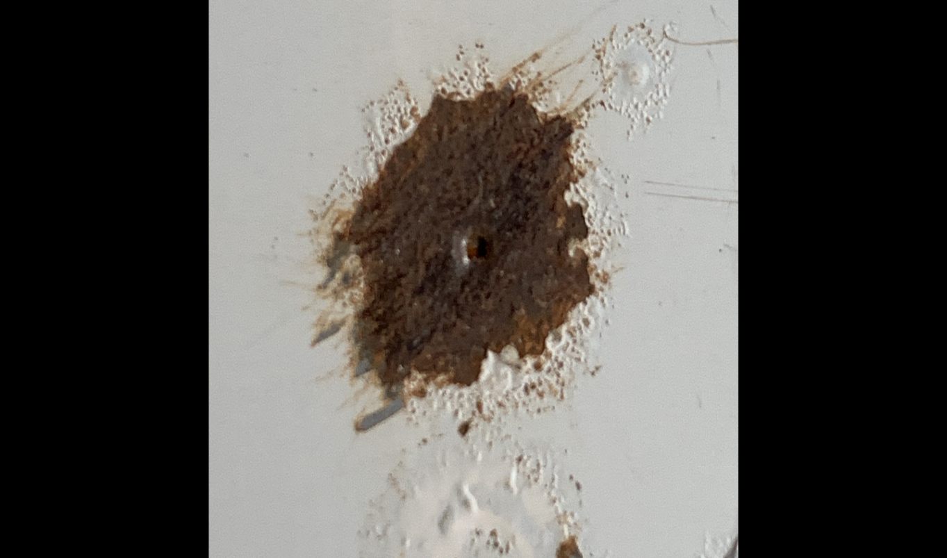 圖片4.png 圖片4.png